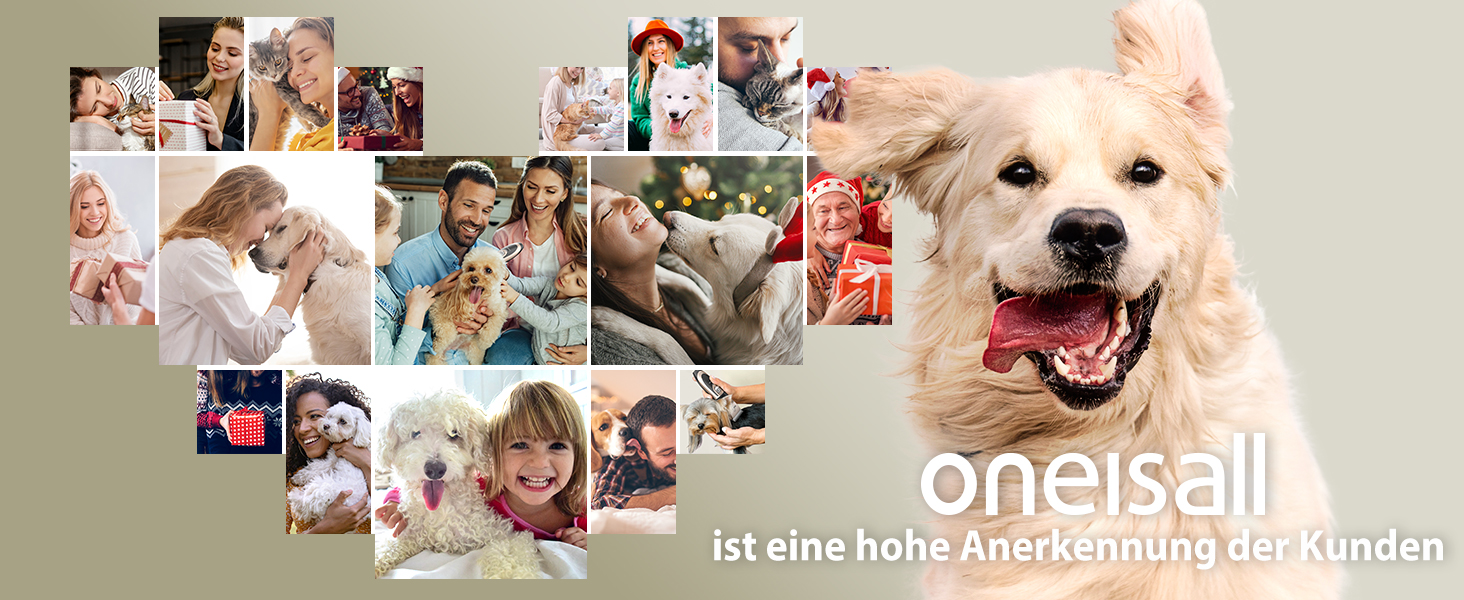 Професійна машинка для стрижки собак та котів Oneisall Leise – бездротова, електрична, блакитна