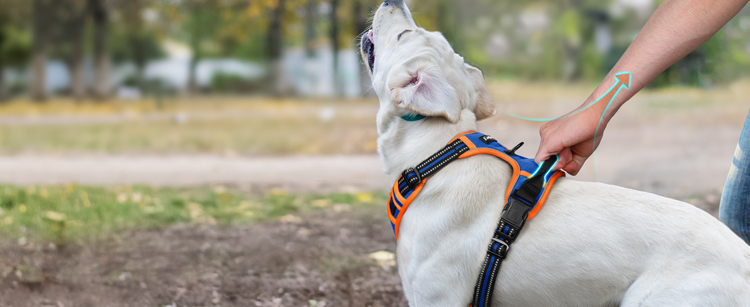 Шлейка для собак Eagloo великих порід, анти-тяга, з світловідбиваючими смугами, регульована, для Лабрадора, розмір L (XS, 1 шт., блакитний & оранжевий)