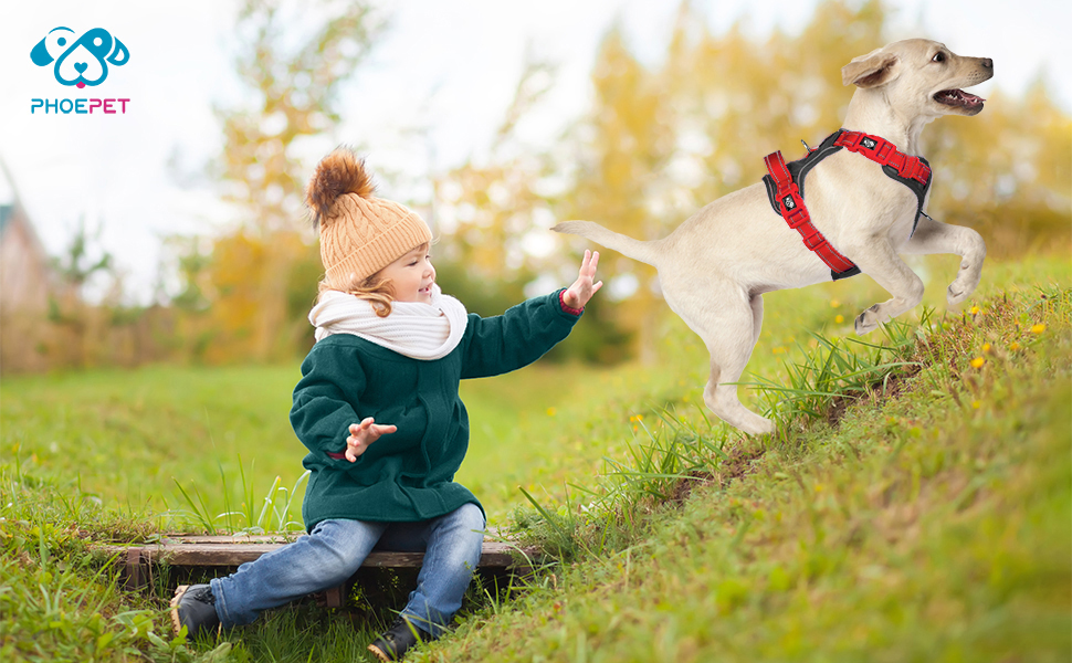 Шлейка для собак PHOEPET Anti-Zug з відбиваючими елементами, регульована, для цуценят та собак різних розмірів (S, чорна база & червоні ремінці)