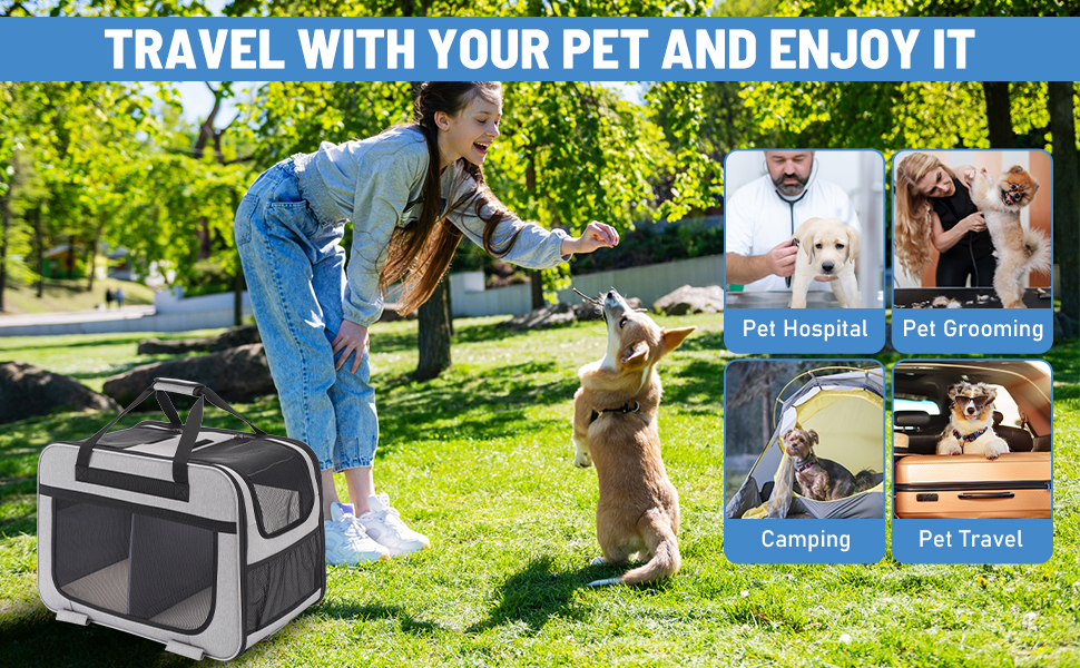 Транспортна переноска для котів на 2 котів, XL, сіра. Зі знімною перегородкою та ручкою. Підходить для котів до 12 кг