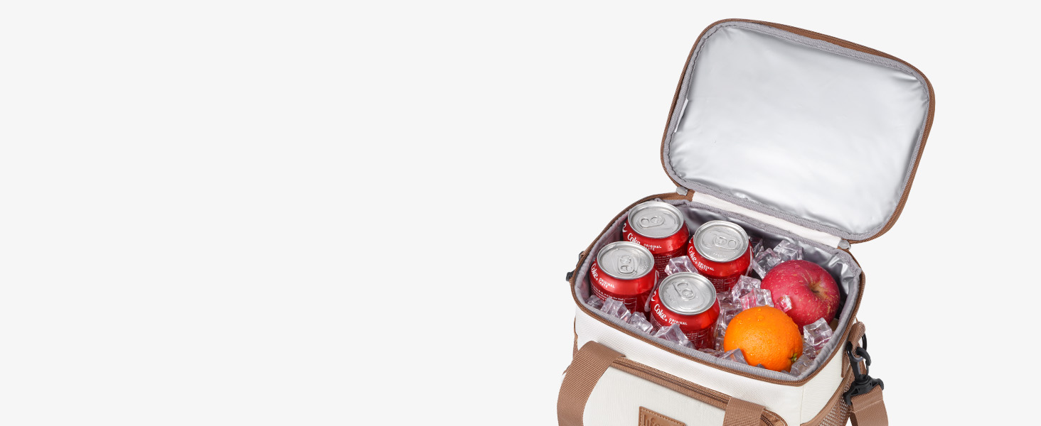 Сумка-холодильник Lifewit 9L: компактна, складна, для їжі, напоїв, пікніків