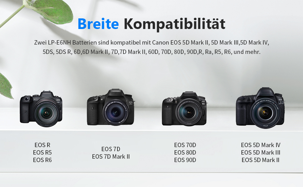 NEEWER Запасний акумулятор та зарядний пристрій LP-E6NH (2 шт.) для Canon EOS R7, R5, R6, 5D III/IV, 6D II, 7D II, 70D, 80D, 90D, 2250mAh, Dual USB, LCD-дисплей