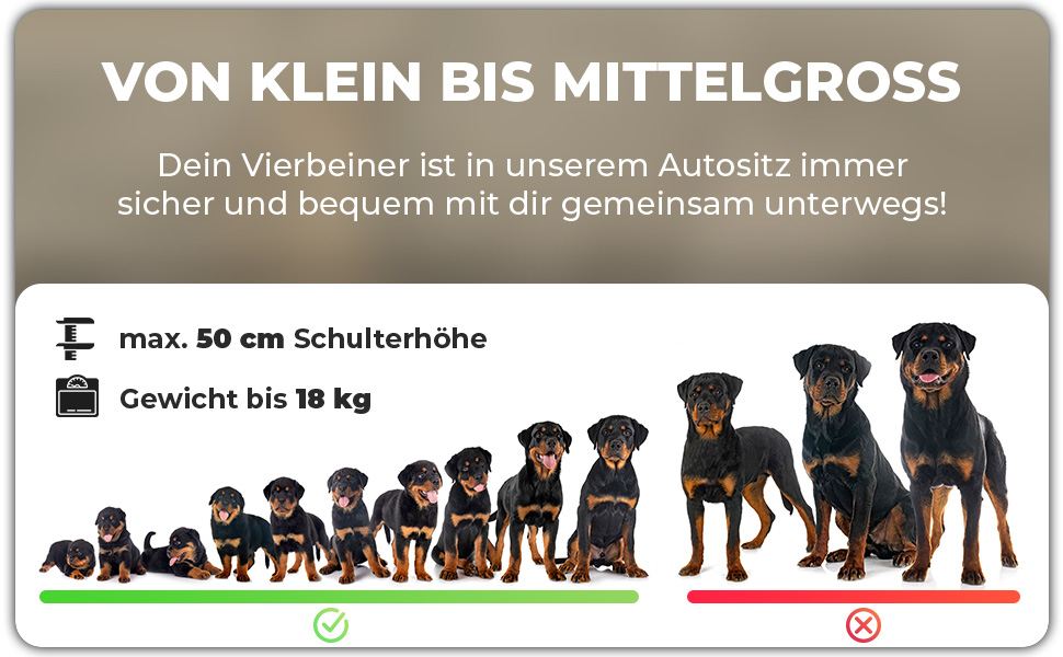 Автомобільний лежак для собак середнього розміру Fell & Bell, чорний | 2-в-1, зручний та стильний, для подорожей
