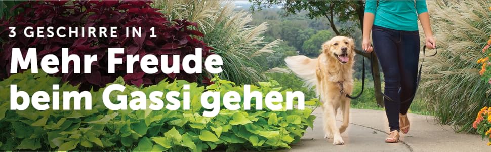 Нашийник-шлейка PetSafe 3-в-1 для собак, з анти-тягнучим кільцем та ременем для авто, розмір L, чорний