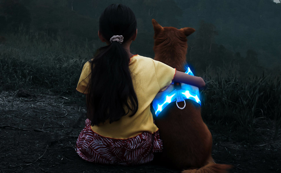 LED нашийник для собак ChalkLit, світлодіодна шлейка для собак, безпечний нашийник для нічних прогулянок (Синій, L)