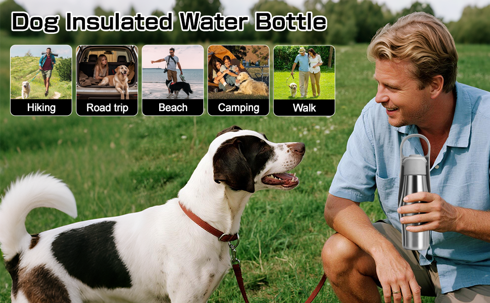 Водяна пляшка для собак на прогулянці 750 мл - витоки неможливі, нержавіюча сталь, подвійні стінки, ізольована, сірий колір