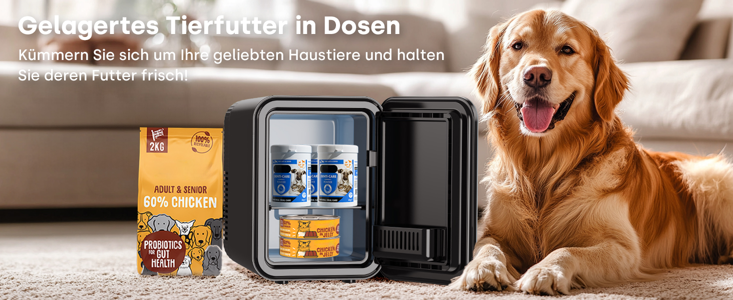 Mini холодильник Enventor 10L: для кімнати, авто, офісу. Охолодження та нагрів, 12V/220V, тихий, чорний