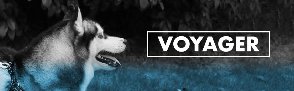 Шлейка для собак Voyager з регулюванням та світловідбиваючими смугами Best Pet Supplies - міцна жилетка для собак без натягу з кільцем для повідка, дихаюча, фуксія, розмір S.