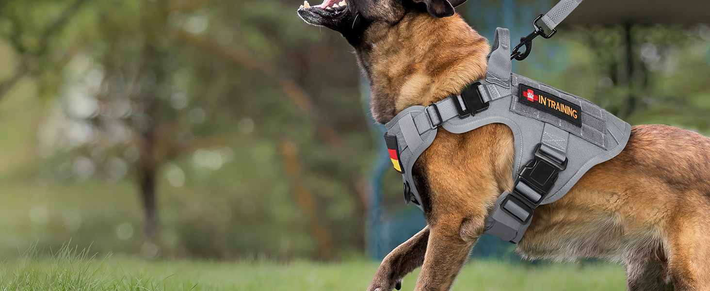 Шлейка для собак Rabbitgoo для великих собак без натягу, тактична, з MOLLE, металеві пряжки, дихаюча, військова, регульована, з підкладкою, L (1 шт., сіра)