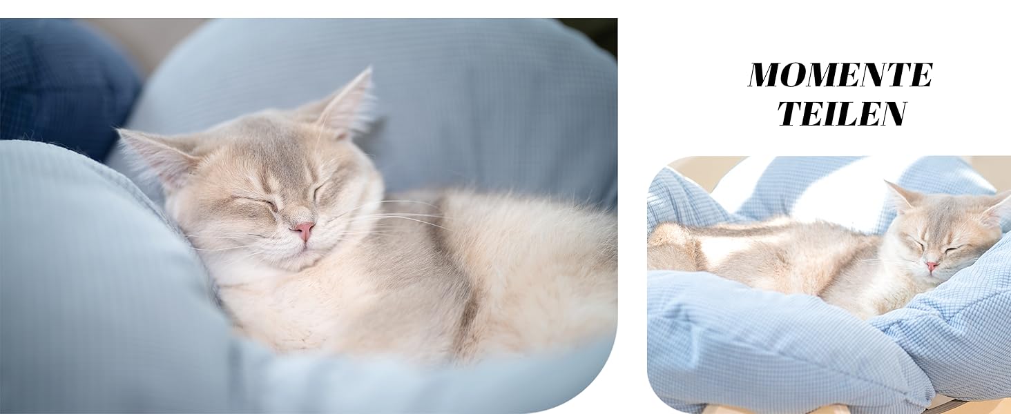 Кішка ліжко CheerPals, квітка, 55x55 см, велике, м'яке, для всіх котів, білий (світло-блакитний)