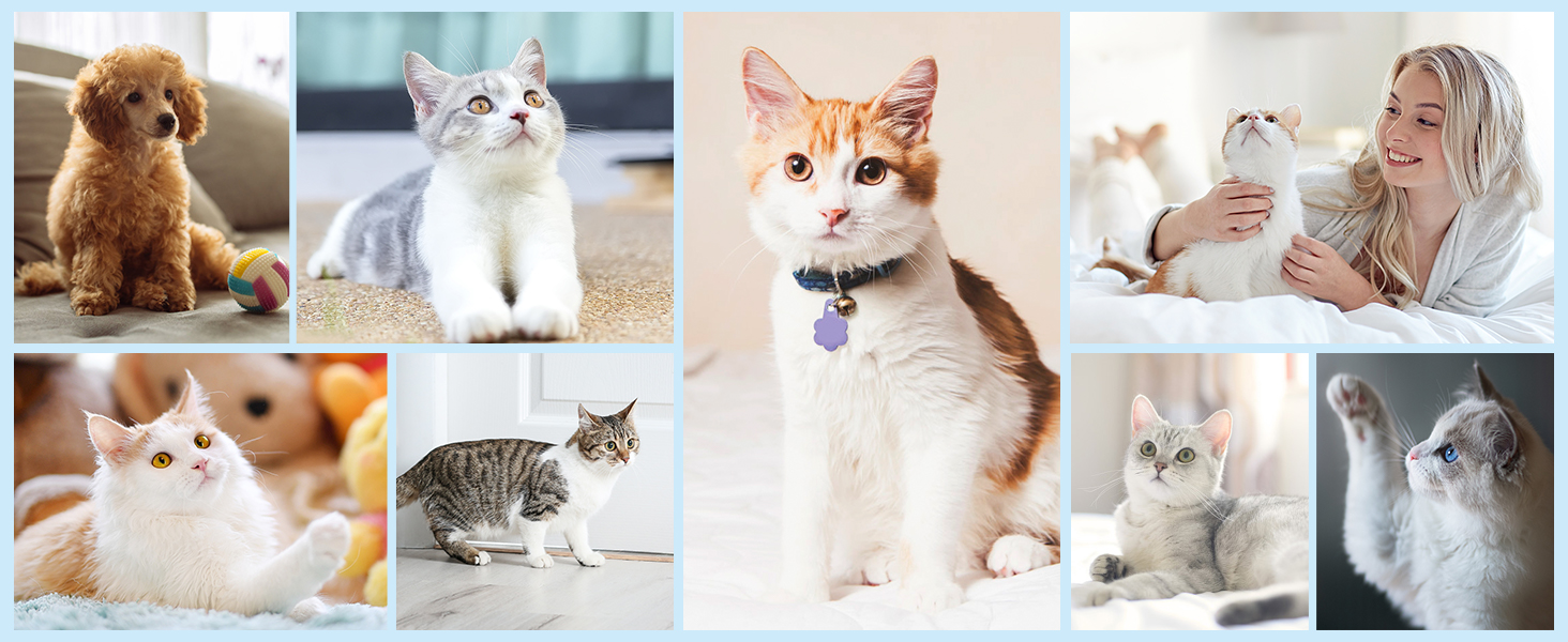 Триммер для собак: набір для стрижки кігтів, USB-зарядка, безпечний, тихий, IPX7 водонепроникний, чорний