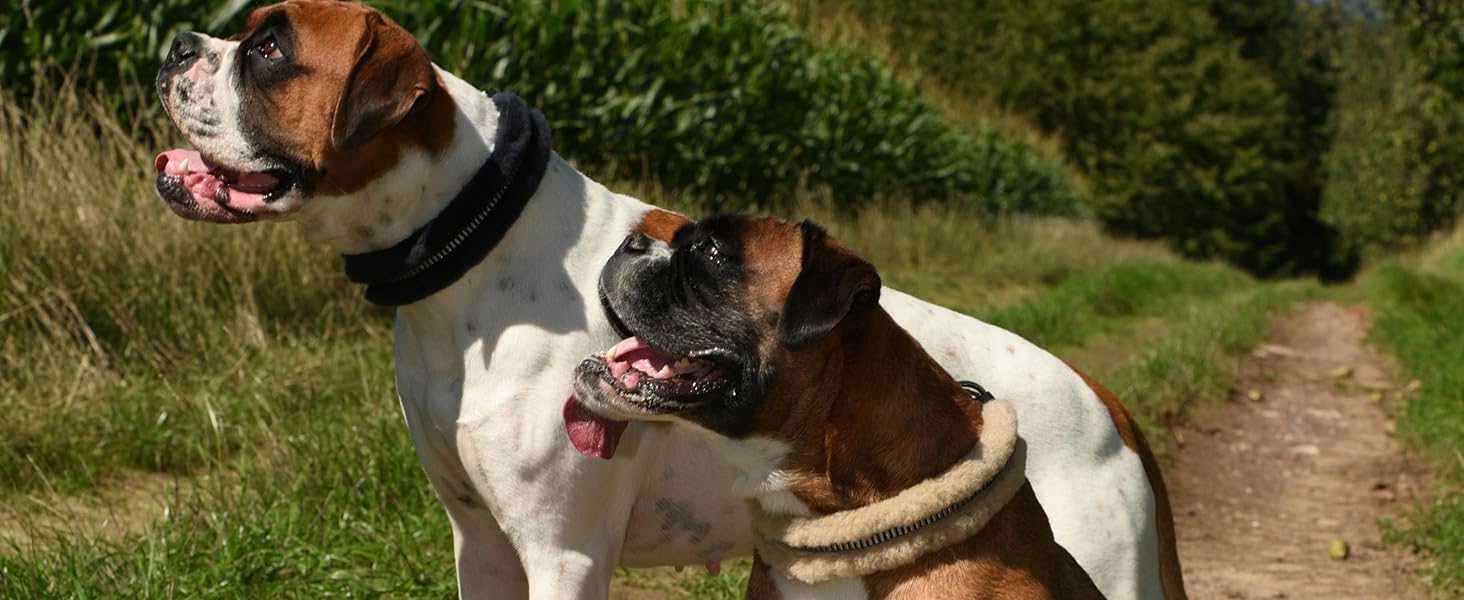 Інноваційний нашийник для собак Chris з ланолінової вовни, зменшує випадіння шерсті, з підкладкою, світловідбиваючий, регульований, для собак малого, середнього та великого розміру. Розміри: M (35-45 см), L (45-55 см), XL (55-65 см). Колір: кремовий