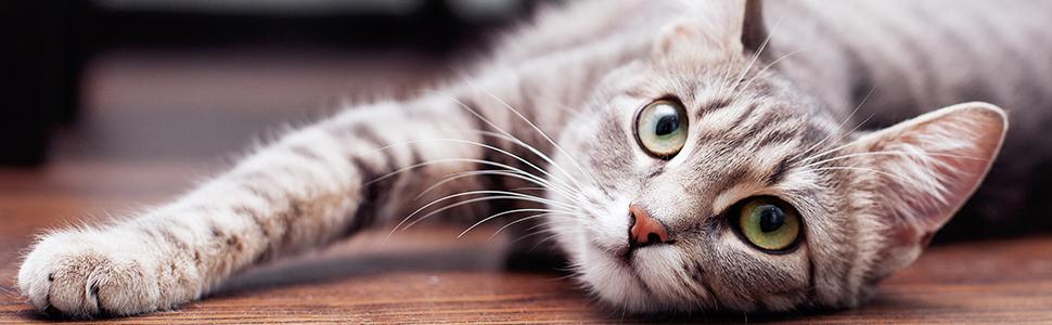 Котячий шафа Relaxdays 2в1 з сидінням, комод і лавка для котячого туалету, біло-сіра, 45,5x75x43 см