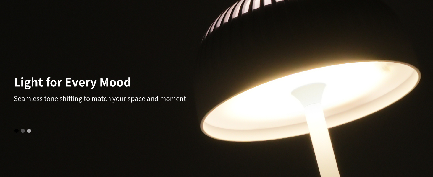 Світлодіодна настільна лампа бездротова LED для вулиці та дому, диммована, з акумулятором 5200mAh, водонепроникна IP54, чорна (D-біла)