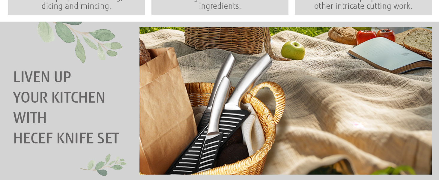 Набір кухонних ножів Hecef (3 шт) з нержавіючої сталі, сріблястого кольору, з порожнистим руків'ям, з захисними піхвами