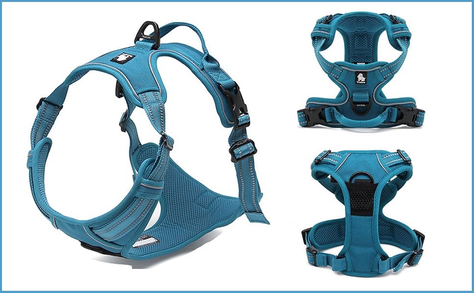 Шлейка для собак Truelove TLH5651, не тягне, світловідбиваючі шви, для активних прогулянок (неоновий жовтий, M)