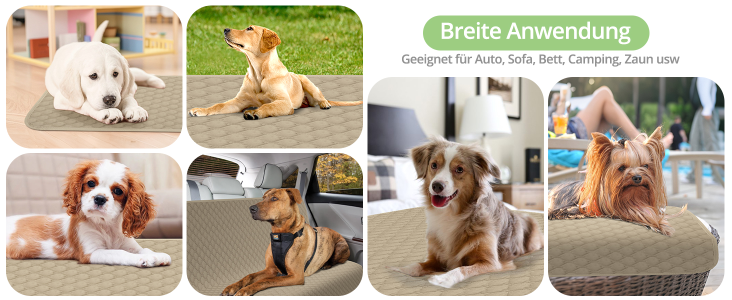 Водонепроникний килимок для собак, килимок для котів, антиковзкий, міцний, для захисту дивану, ліжка, автокрісла, можна прати в пральній машині (172 x 208 см, Хакі, M (137x208 см))