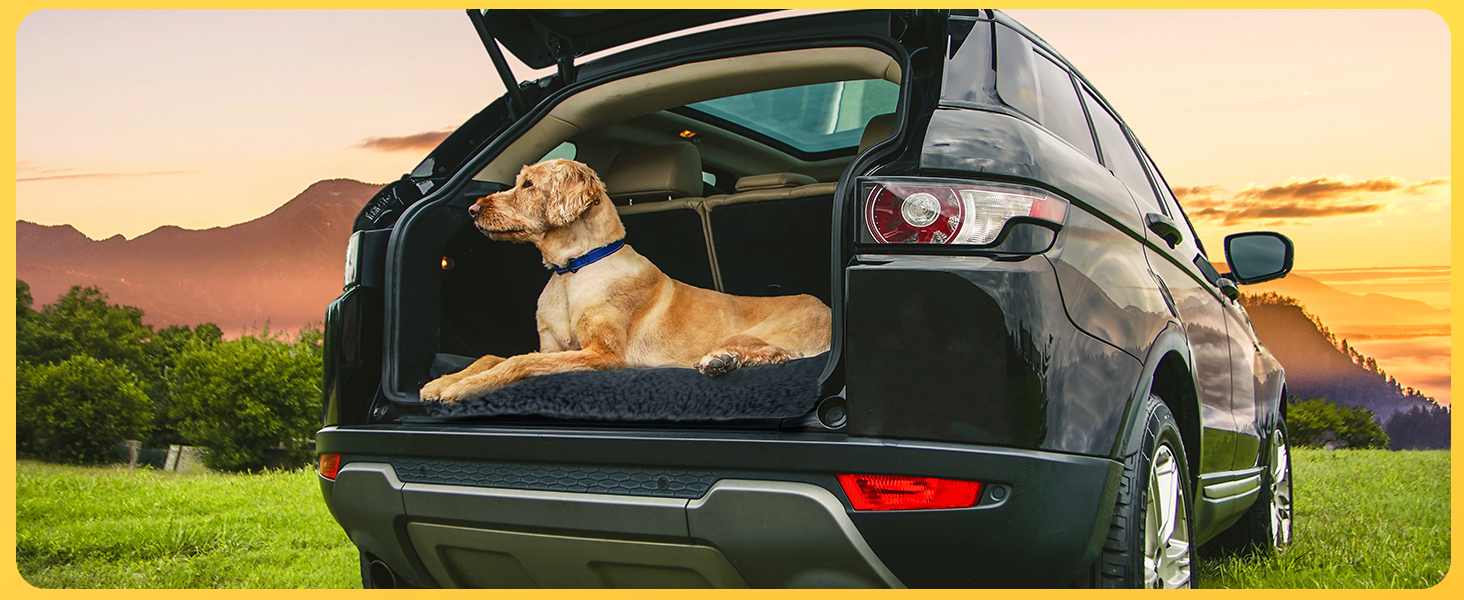 Self-Heating Blanket for Dogs & Cats, Pet Heating Mat Winter, Washable Heating Blanket for Dogs, Self-Warming Dog Mat Fluffy Warm, Thermal Blanket for Dogs Non-Slip, Gray, 115x70cm