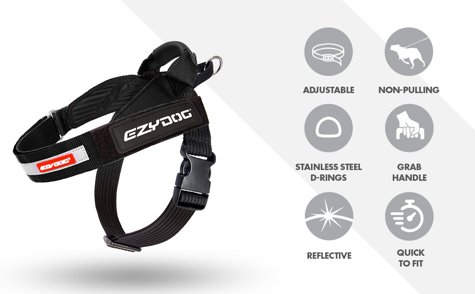 Шлейка для собак EzyDog Express - для маленьких, середніх та великих собак, світловідбиваюча, регульована, з м'якою підкладкою. Ідеально підходить для бігу та їзди на велосипеді (XS, Чорний). XS (42-53 см), Чорний
