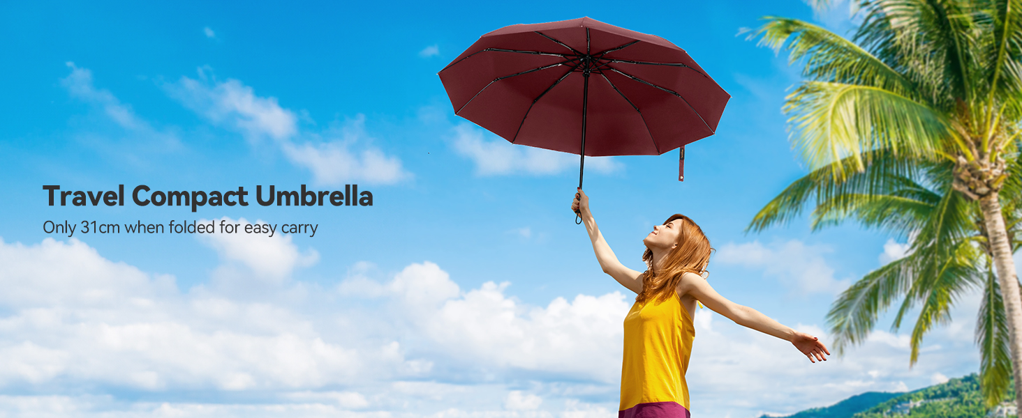 Чорний компактний парасолька TechRise: автоматичний, стійкий до вітру, великий, 10 спиць