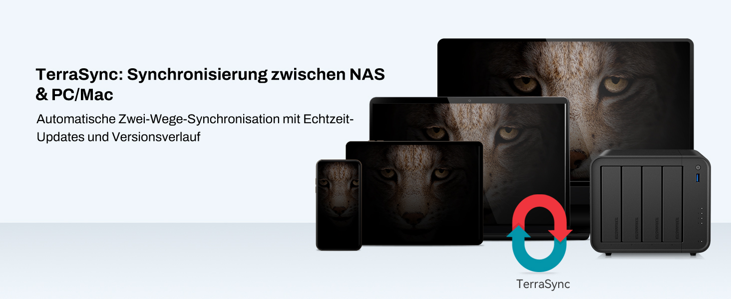 TERRAMASTER F2-425: 2-Bay NAS з Intel x86 Quad-Core CPU, 4 GB RAM, 2.5 GbE LAN – Мережевий сховище для дому (без жорсткого диска)