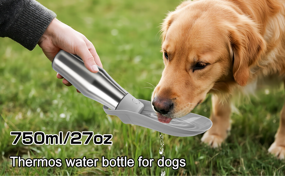 Водяна пляшка для собак на прогулянці 750 мл - витоки неможливі, нержавіюча сталь, подвійні стінки, ізольована, сірий колір