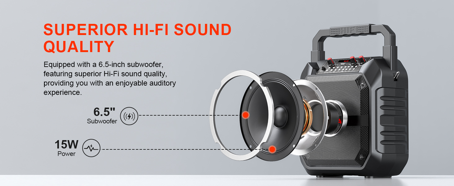 Портативна караоке-машина з Bluetooth, мікрофоном та підключенням TF/USB/FM/AUX для дому та вечірок (2 мікрофони)