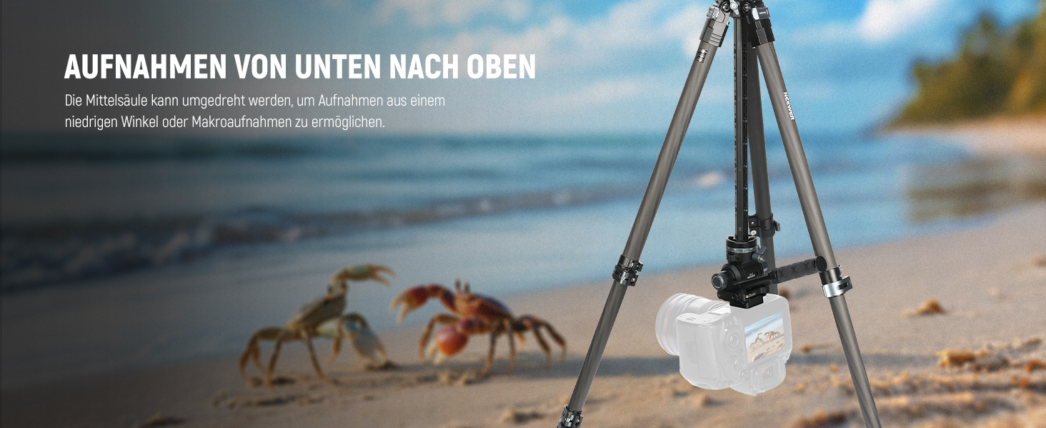 Штатив для камери NEEWER BASICS 77' з моноподом, кульковою головкою 360°, QR-пластиною Arca, компактний, легкий, алюмінієвий, для подорожей, відеозйомки, максимальне навантаження 6 кг (LT37)