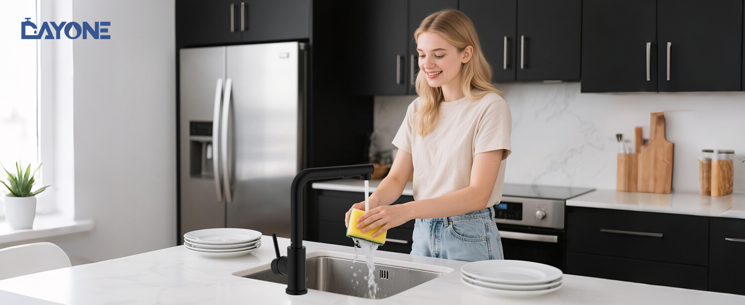 Змішувач кухонний DAYONE з висувною лійкою, нержавіюча сталь, 3 режими, поворотний на 360°, для кухонної мийки (15 см), матовий чорний