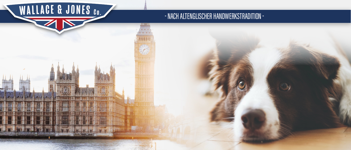 Килимок для собак Wallace & Jone Cardi, 60x45 см, світло-блакитний, для маленьких собак