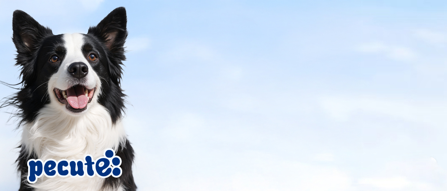 Пекют Лiкер Бюртє Профi: щiтка для собак, видаляє підшерстя, ковтуни. Ідеально для пуделів, тедi, кокапу. (25 мм, 15 мм)