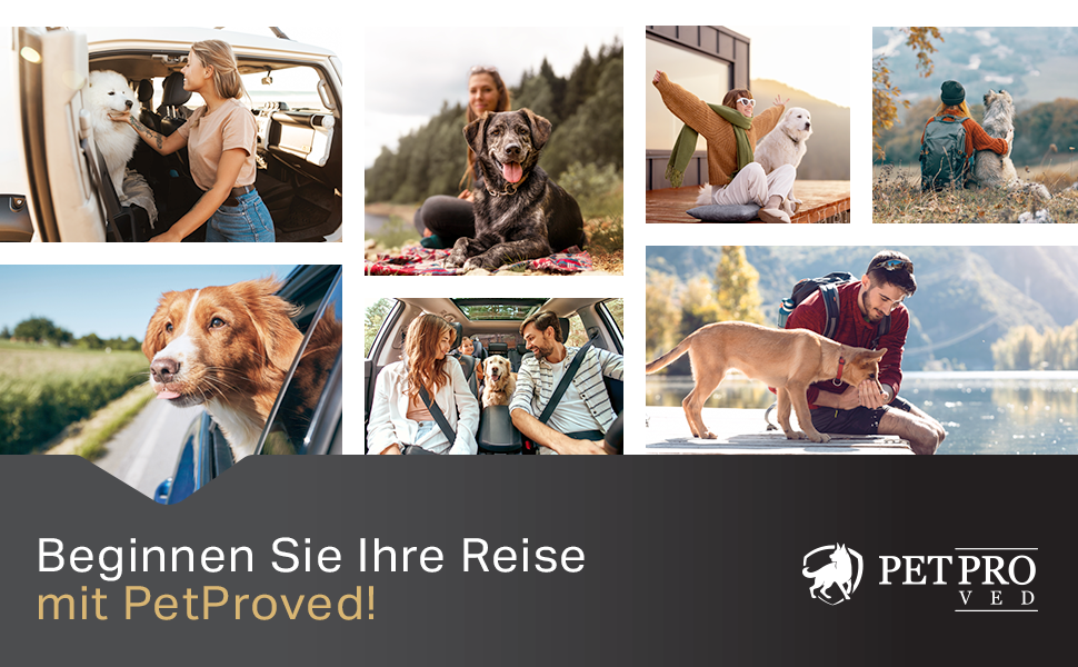 Захист для автосидіння для собак PETPROVED: водонепроникний, з аксесуарами. Захист заднього сидіння авто, автодеки для собак