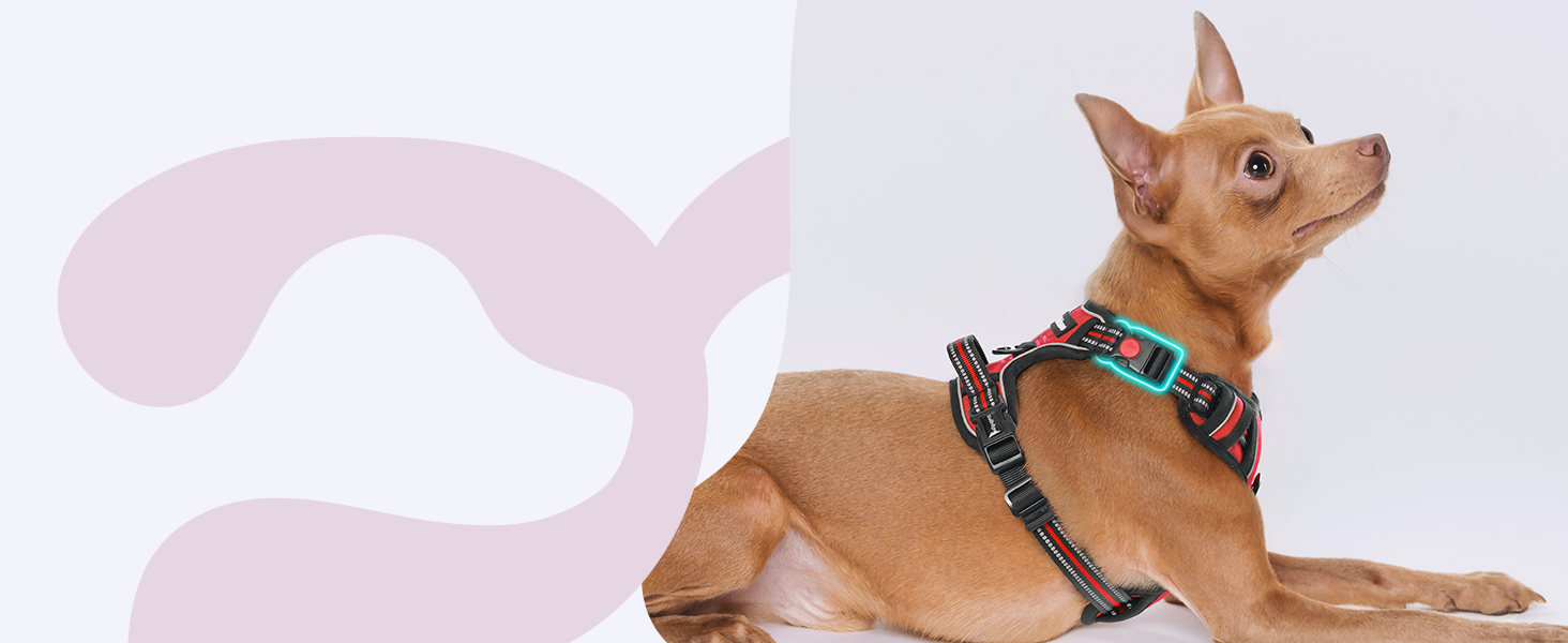 Нашийник для собак Rabbitgoo, великі породи, регульований, анти-тяга, з ручкою, м'який, світловідбиваючий, червоний, L (1 шт.)