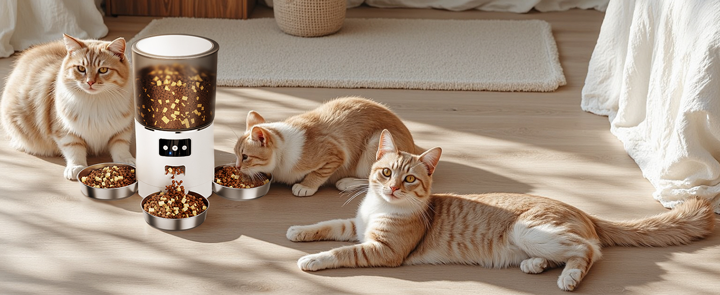 Автомат годівлі для котів з APP та таймером, 6 л / 25 порцій, 3 миски, 3 пакетики силікагелю, система запобігання застряганню, WiFi 2.4G, запис голосу, чорний