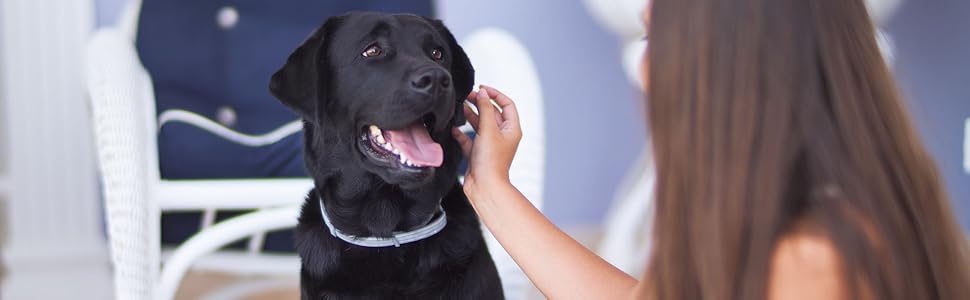 Софа для собак Baldiflex Nerone 120x75 см, з Memory Foam, інноваційна модель