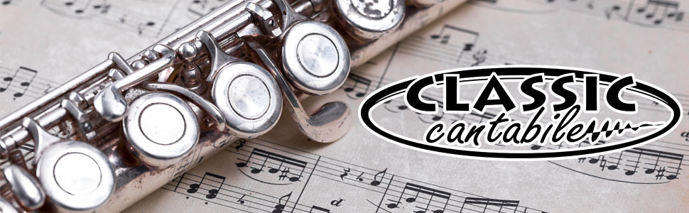 Кларнет Classic Cantabile FL-100: срібляний, з кейсом та аксесуарами (інструмент для початківців)