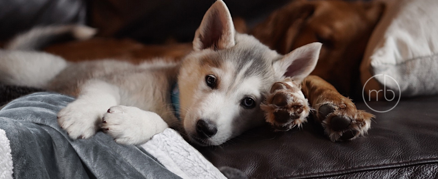 Плед Mixibaby для дому, теплий та м'який, 150 x 200 см, бордовий колір