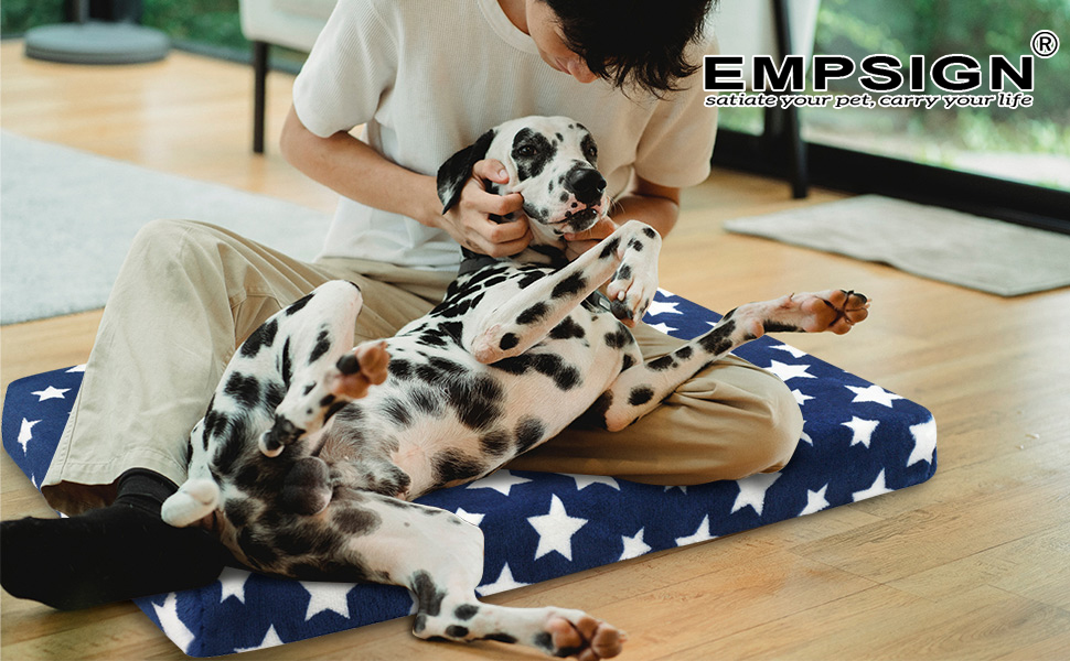 Лежанка для собак EMPSIGN, м'який килимок для перенесення, лежанка для собак знімний та пральний чохол, водонепроникна, для маленьких собак, 61x46x6.6 см, блакитна