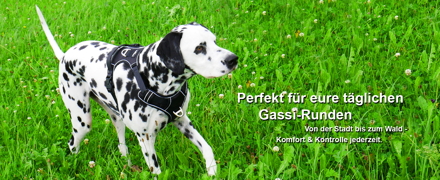 Шлейка для собак ORKANI Bravo 2025 - преміум, не тягне, з безпечним замком, дихаюча, м'яка, для маленьких, середніх та великих собак (S)