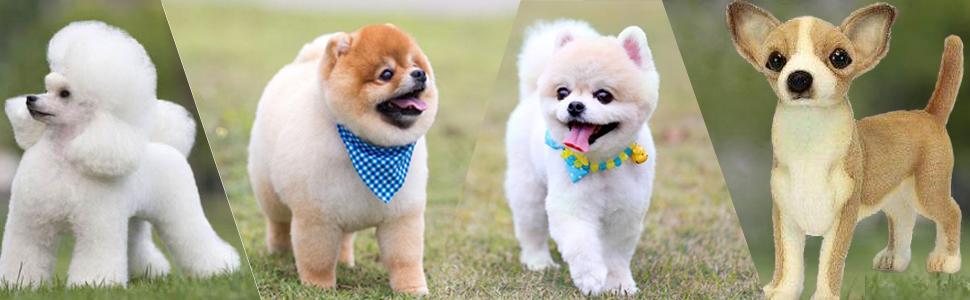 Набір ножиць для собак 5 в 1, нержавіюча сталь, для грумінгу, догляд за шерстю, набір для собак та котів