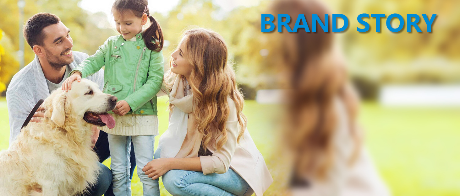 Транспортна переноска для котів та собак, складна, для авіаперельотів, сіра, 45 x 28 x 21 см