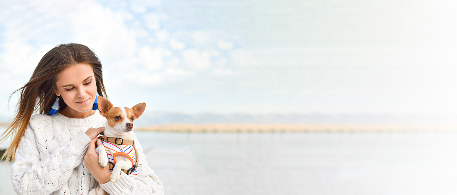 Транспортна сумка для собак, котів та кроликів – складана переноска з безпечним замком, сіткою для вентиляції та бічними кишенями – практична переноска для подорожей (Бежева, 34x16x25 см)