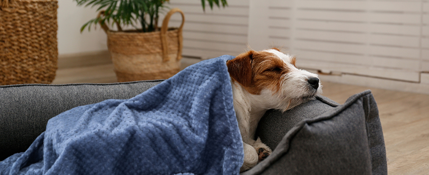 М'яка двостороння ковдра для собак та котів SLSON, 70x100 см (світло-жовтий та чорно-сірий)