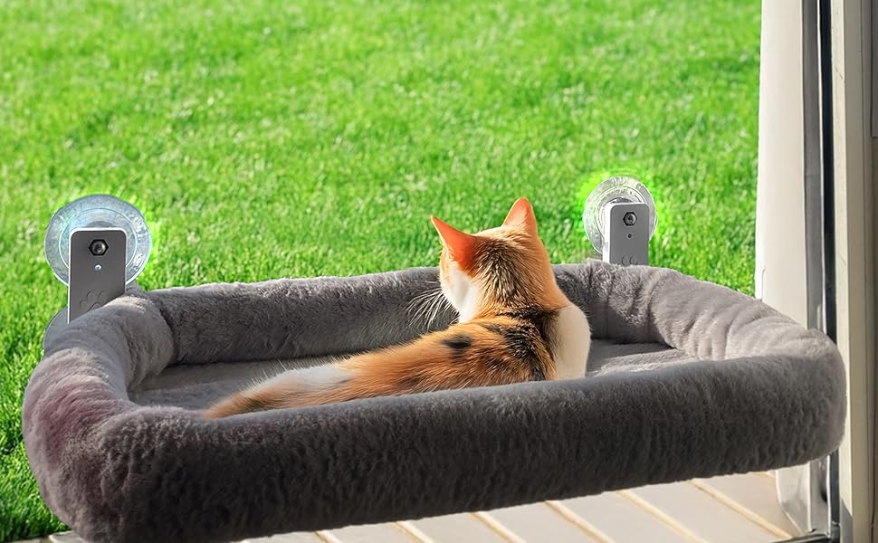 Кішка ліжко на вікно - стійке ліжко для котів з пральним подушкою | Зручна гамак для вікон до 18 кг | Економне місце для котів та аксесуари