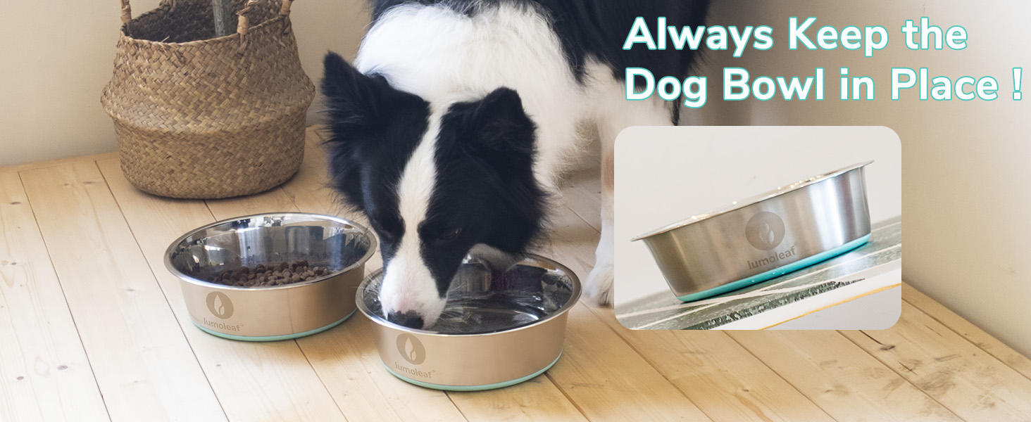 Набір мисок для собак LumoLeaf, нержавіюча сталь, великі, 2 x 3000 мл, з протиковзким силіконовим дном, для великих і середніх собак, миска для їжі та води, придатна для миття в посудомийній машині (подвійний набір)