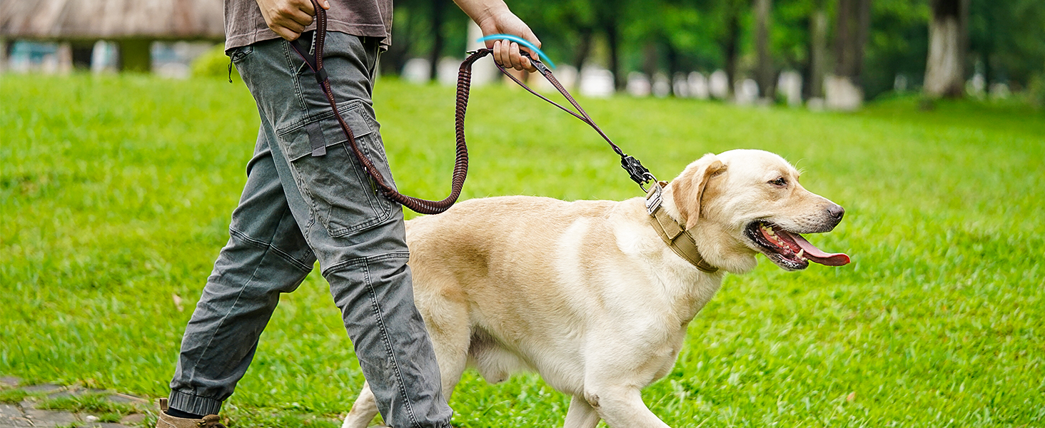 Тактична повідок для собак Joytale, еластична повідок з 2 м'якими ручками, страхувальний ремінь для автомобіля, повідок без натягу для собак середніх, великих та екстра-великих порід (1.2м-1.8м, коричнева)