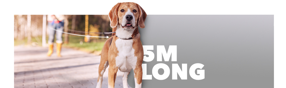 Рулетка для собак FurDreams – міцна висувна повідка 5 м | Зручна ручка з блокуванням | Міцний нейлоновий трос, що не заплутується | Кріплення для нашийника (велике) | Білий, великий