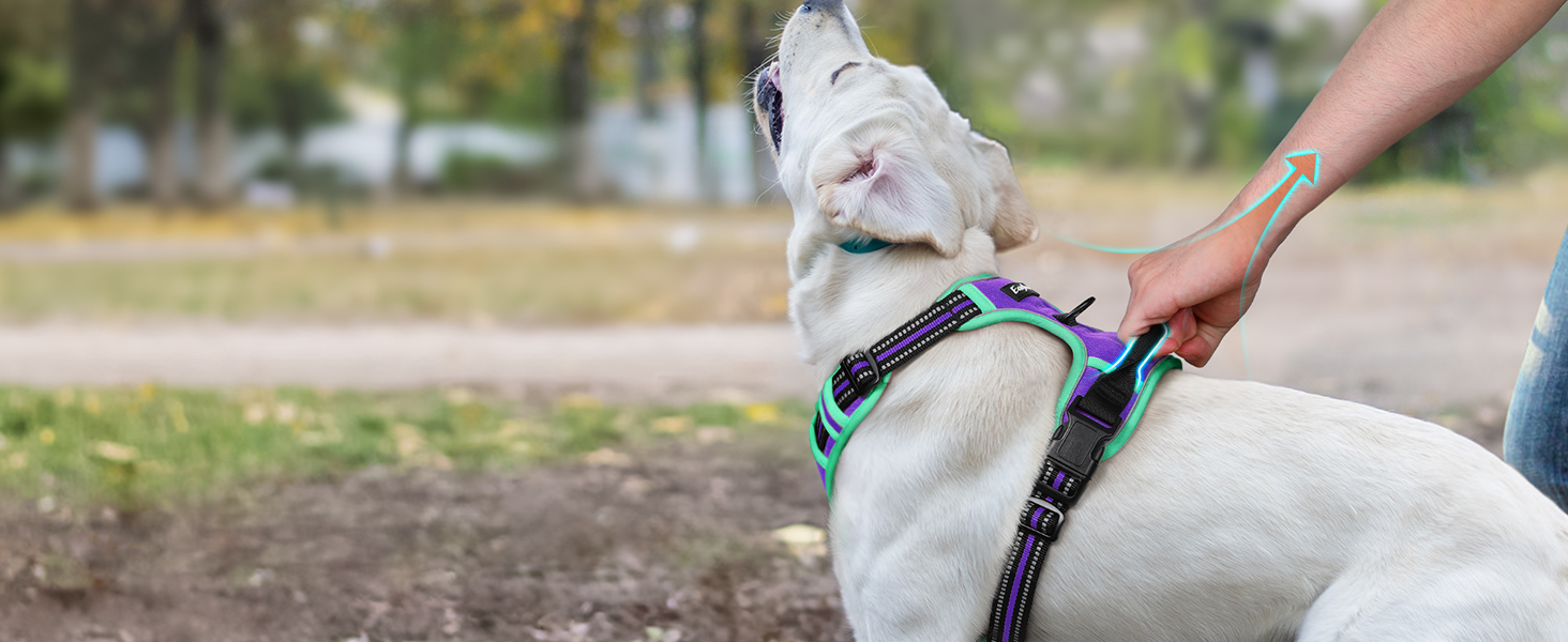 Шлейка для собак великих порід Eagloo, анти-тяга, з відбиваючими смугами, регульована, для Лабрадора, L (1 шт, м'ятно-зелений & фіолетовий)