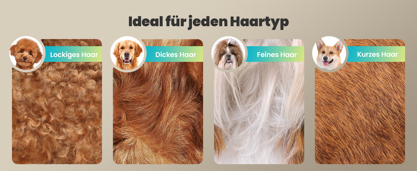 Набір для стрижки собак 4-в-1 Oneisall: стрижка, триммінг, шліфування кігтів. Тиха машинка для собак та котів з LCD-дисплеєм. Ідеально для тіла, лап, очей, вух, обличчя.