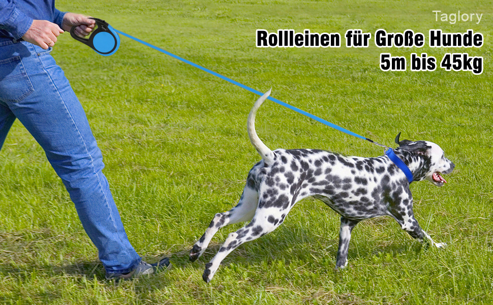 Витяжна повідка для собак середніх та великих порід до 45 кг Taglory, 5 м, блакитний